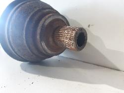 Contact us for Photo