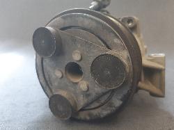 Contact us for Photo