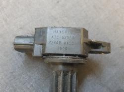 Contact us for Photo