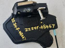 Contact us for Photo