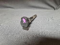 Contact us for Photo