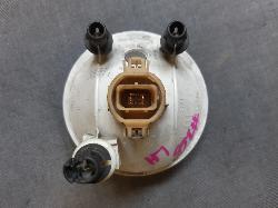 Contact us for Photo