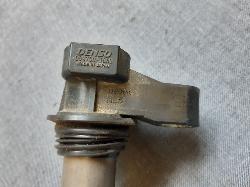 Contact us for Photo