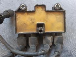 Contact us for Photo