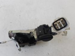 Contact us for Photo