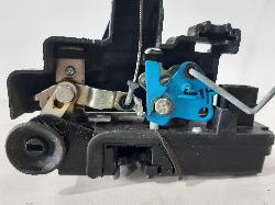 Contact us for Photo