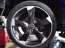 Contact us for Photo