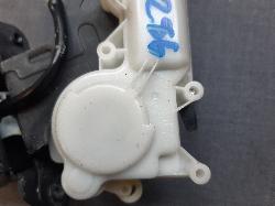 Contact us for Photo