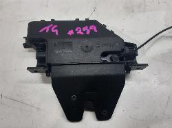 Contact us for Photo