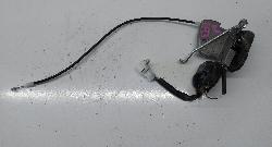 Contact us for Photo