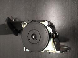 Contact us for Photo