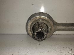 Contact us for Photo