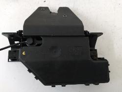 Contact us for Photo