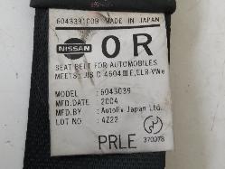 Contact us for Photo