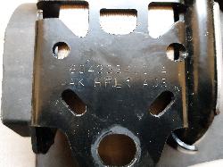 Contact us for Photo