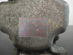 Contact us for Photo