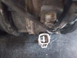 Contact us for Photo