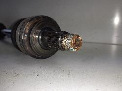 Contact us for Photo