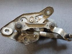 Contact us for Photo