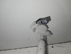 Contact us for Photo