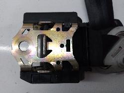 Contact us for Photo