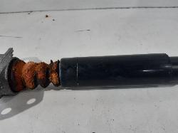 Contact us for Photo