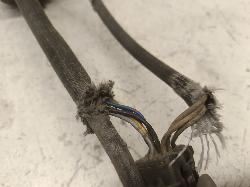 Contact us for Photo