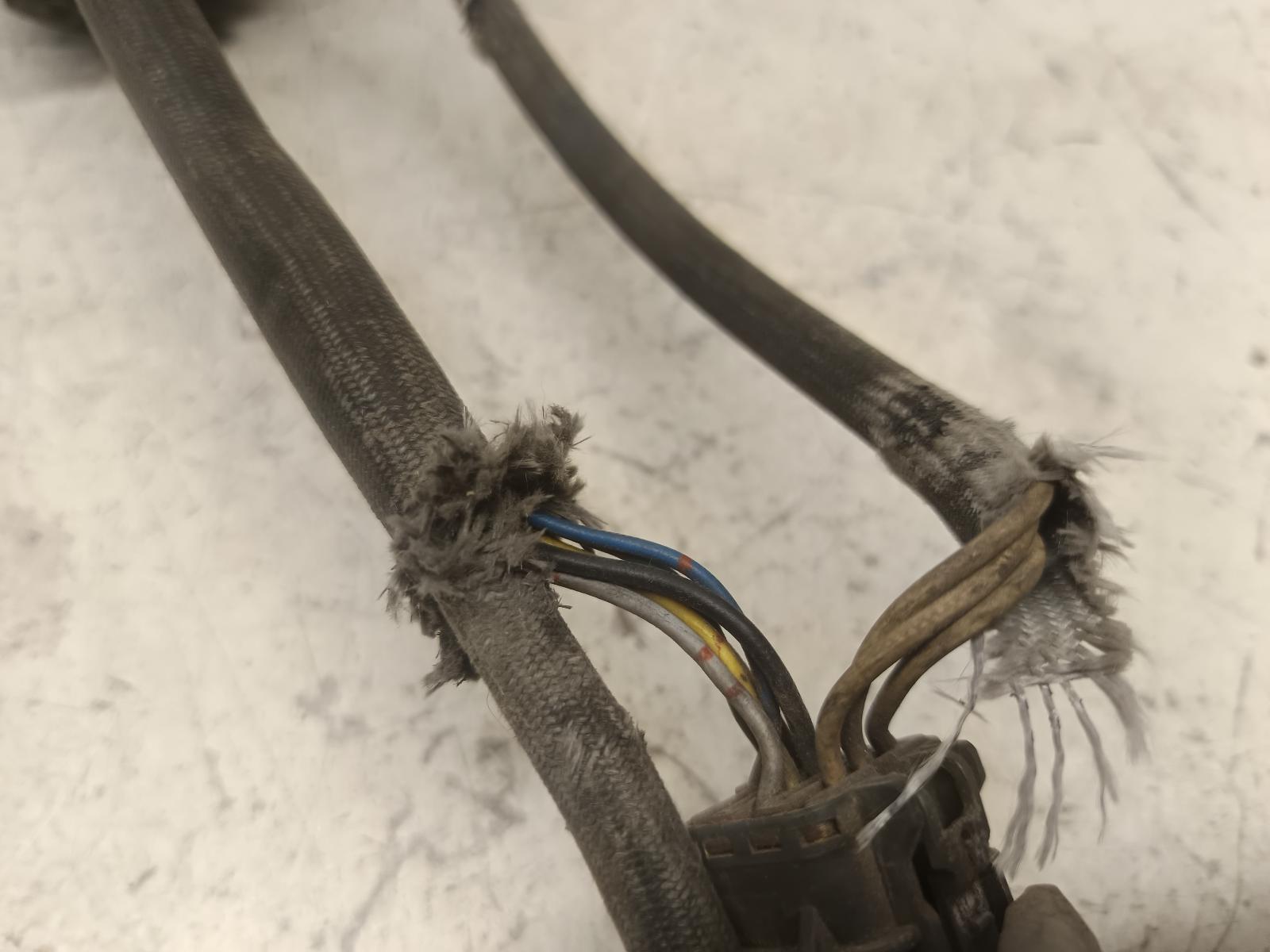 Contact us for Photo