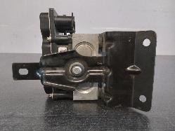 Contact us for Photo