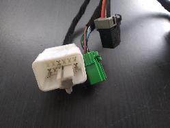 Contact us for Photo