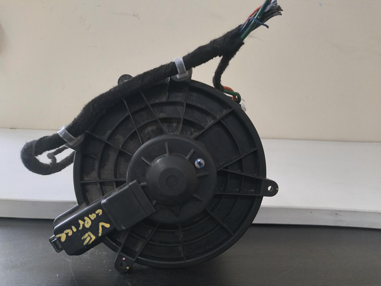 Contact us for Photo