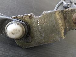 Contact us for Photo