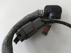 Contact us for Photo