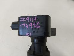 Contact us for Photo