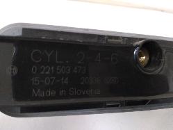 Contact us for Photo