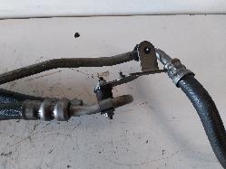 Contact us for Photo