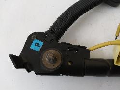 Contact us for Photo