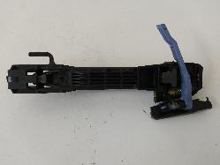 Contact us for Photo