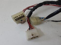 Contact us for Photo