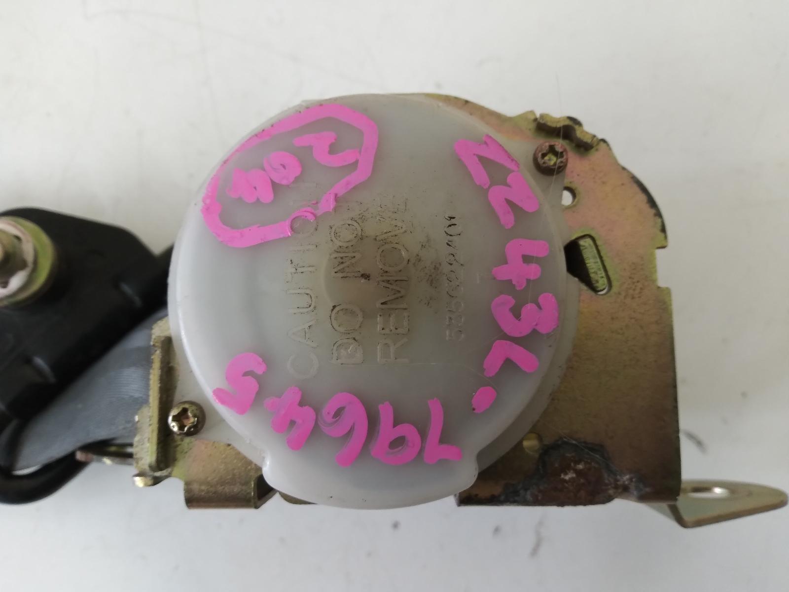 Contact us for Photo