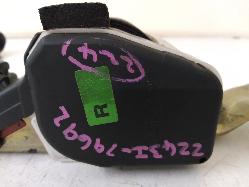 Contact us for Photo