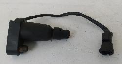 Contact us for Photo