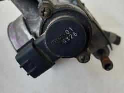 Contact us for Photo