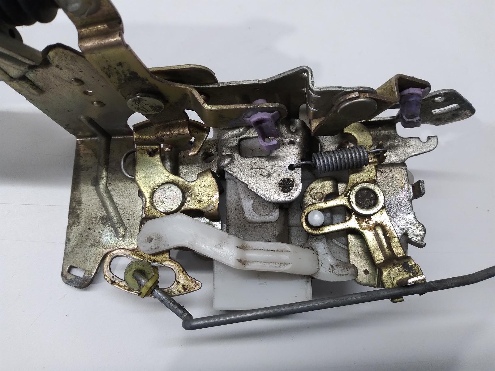 Contact us for Photo