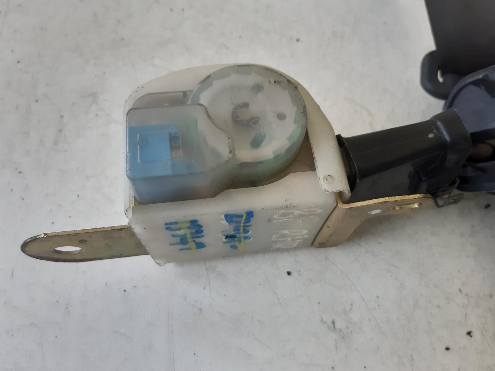 Contact us for Photo