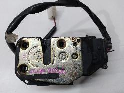 Contact us for Photo