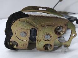 Contact us for Photo