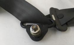 Contact us for Photo