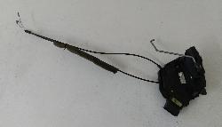 Contact us for Photo