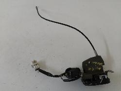 Contact us for Photo